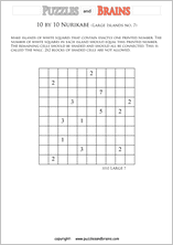 printable 10 by 10 Nurikabe logic puzzles for kids and adults with large sized islands