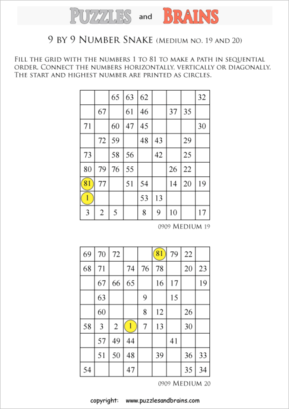 printable medium 9 by 9 Hidato Number Snake puzzles for young and old